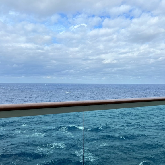 Meet your Posher, Tenaya - Picture 4 of 15